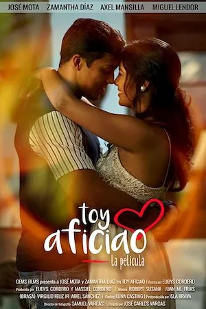 Poster Toy Aficiao