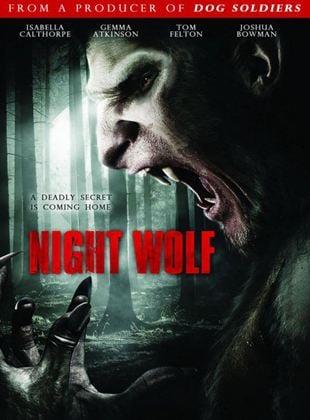 Poster Night Wolf